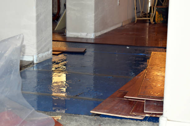 Professional Burst Pipe Cleanup technician working in Cleveland, NC